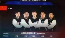 乐凡最新爆料新闻,揭秘娱乐圈最新热点事件内幕